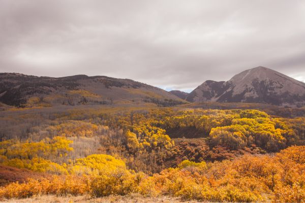 manti la-sal national forest in moab