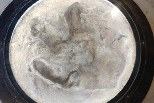 dinosaur footprint at dinosaur museum in moab