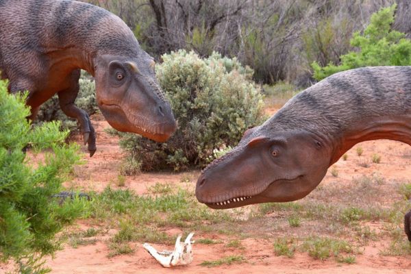 dinosaur trail at dinosaur museum in moab