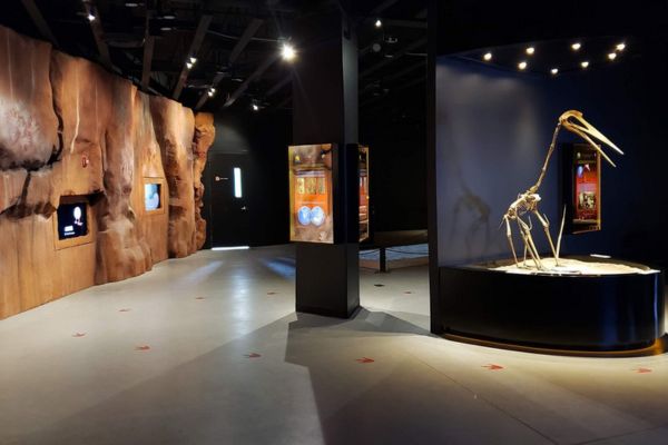 interactive tracks at dinosaur museum in moab