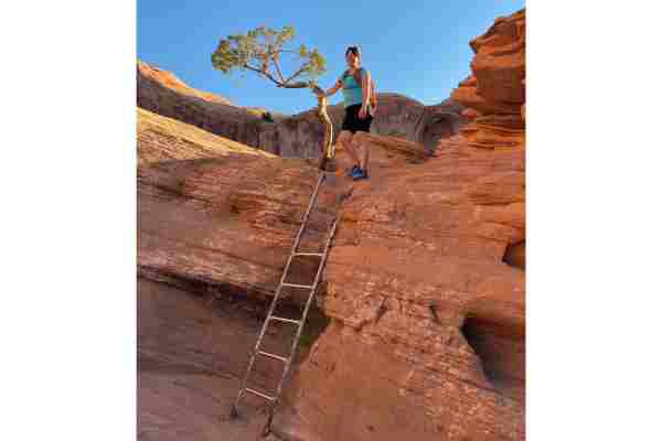 corona arch not good for dogs