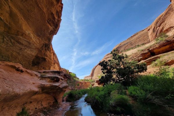 grandstaff trail