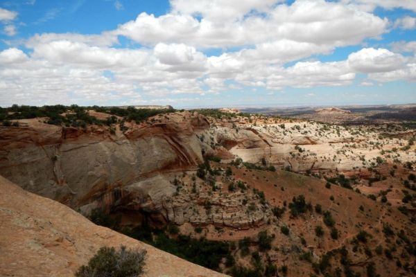 neck spring trail