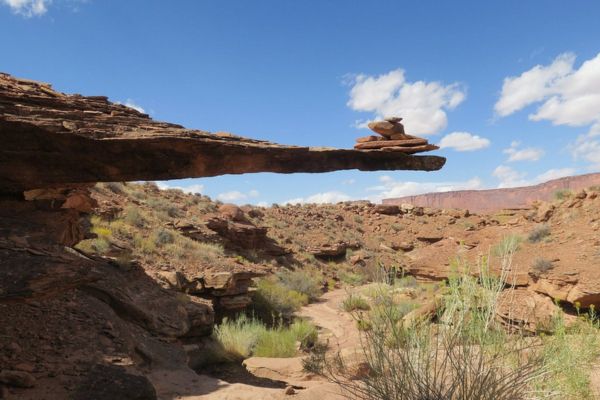 wilhite trail