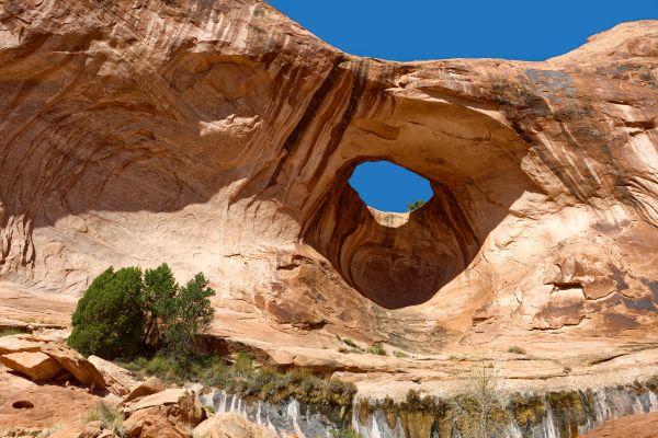 bowtie arch