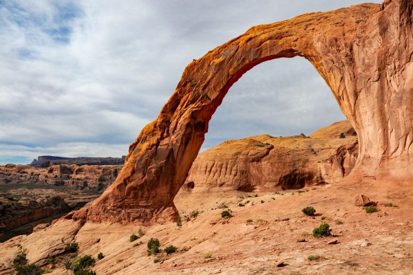 corona arch