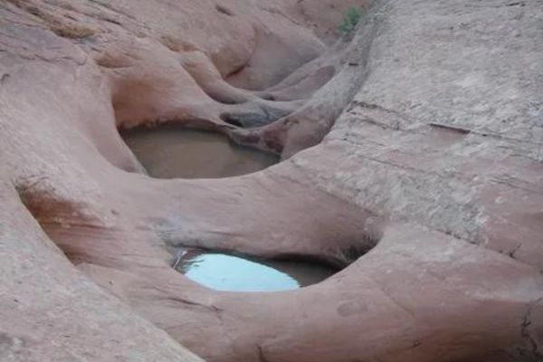dragonfly canyon