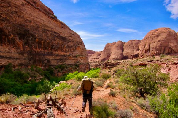 grandstaff trail arches