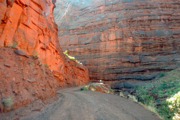 onion creek trail
