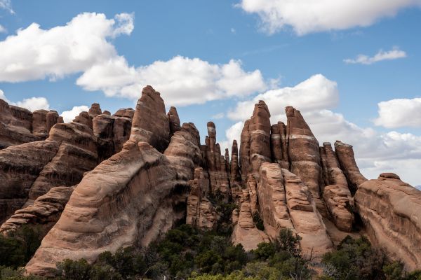primitive loop trail
