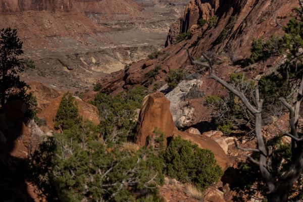 syncline loop trail