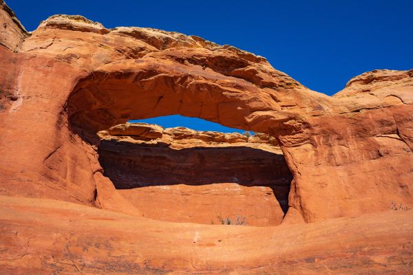 tapestry arch