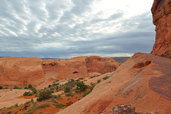 what people are saying about delicate arch trail