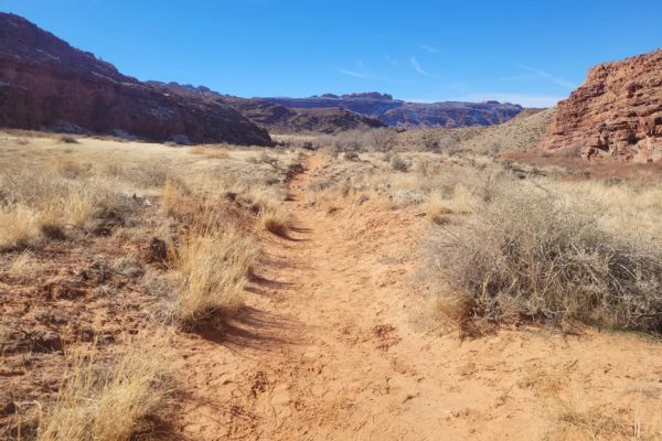 what people are saying about mill creek trail