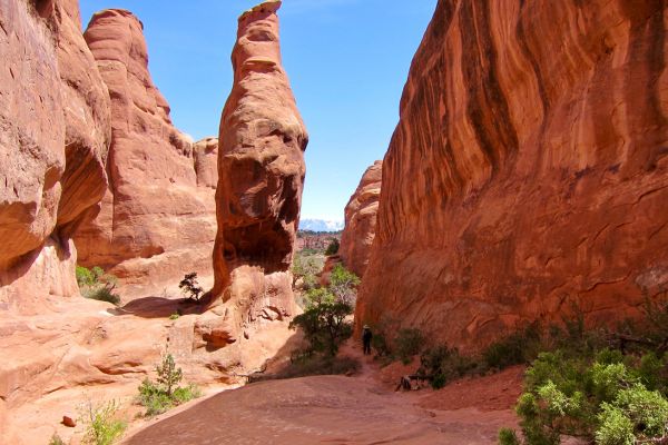 what people are saying about sand dune arch trail