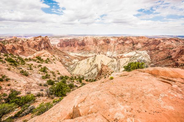 what people are saying about upheaval dome trail