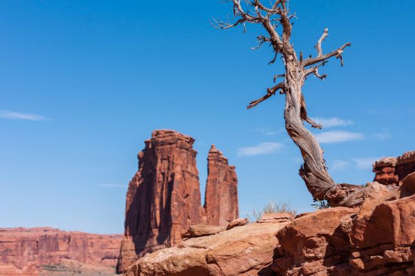 what to bring on park avenue trail arches