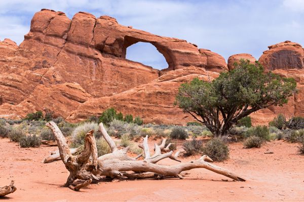 what to bring on skyline arch