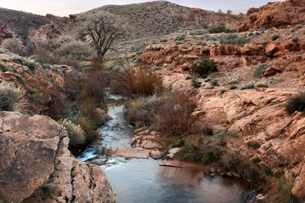 what to expect on mill creek trail