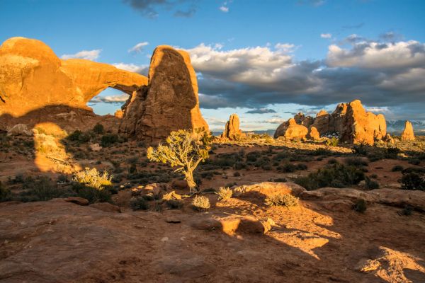 windows loop trail
