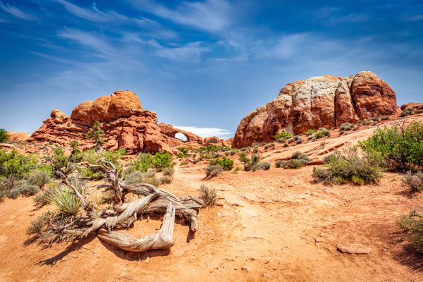 skyline arch trail