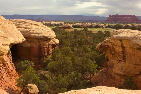 canyonlands-needles-day-hikes-easy-loops