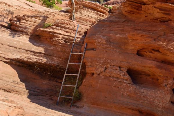 corona-arch-dogs-trail-ladder