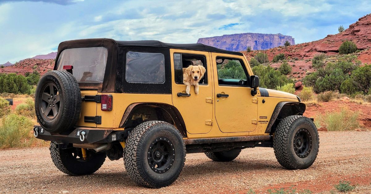corona-arch-dogs