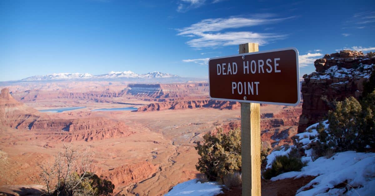 dead-horse-point-dogs