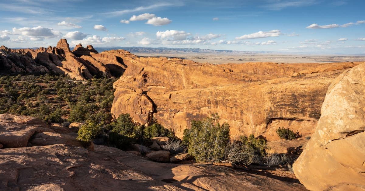 fins-and-things-one-way