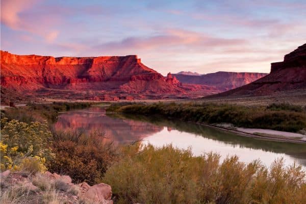 dog-friendly-hikes-near-moab-river